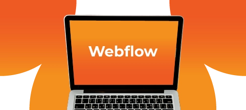 Webflow CMS Development illustration